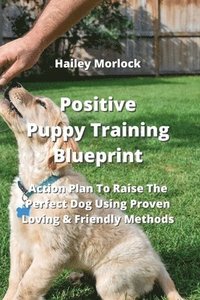 bokomslag Positive Puppy Training Blueprint