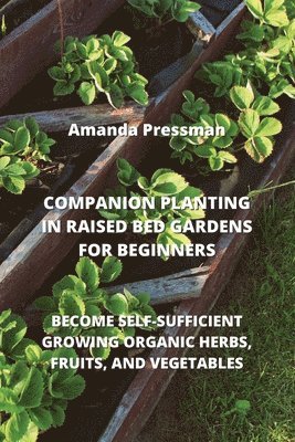 Companion Planting in Raised Bed Gardens for Beginners 1