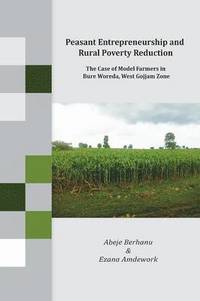 bokomslag Peasant Entrepreneurship and Rural Poverty Reduction. The Case of Model Farmers in Bure Woreda, West Gojjam Zone