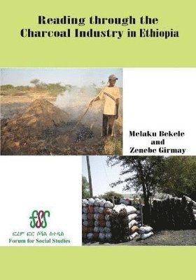 Melaku Bekele, Zenebe Girmay - Reading Through the Charcoal Industry in Ethiopia. Production, Marketing, Consumption and Impact, Häftad