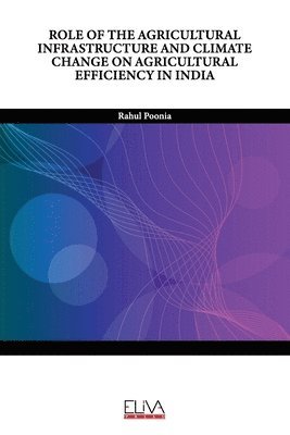 Role of the Agricultural Infrastructure and Climate Change on Agricultural Efficiency in India 1