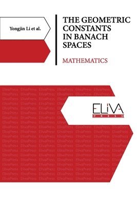 bokomslag The Geometric Constants in Banach Spaces