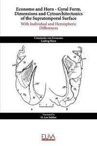 bokomslag Economo and Horn - Gyral Form, Dimensions and Cytoarchitectonics of the Supratemporal Surface