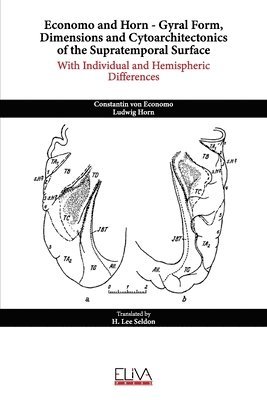 bokomslag Economo and Horn - Gyral Form, Dimensions and Cytoarchitectonics of the Supratemporal Surface