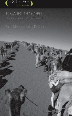 Sidi Alamine Ag Doho - Touareg, Häftad
