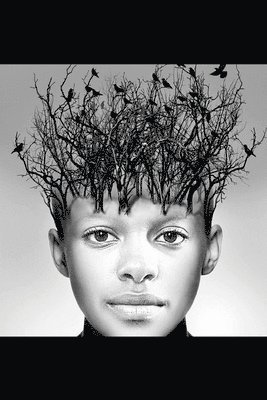 Natasa Nuit Pantovic - Tree of Life, Häftad