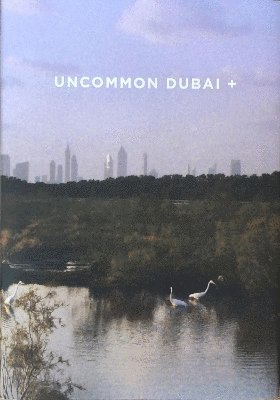 Uncommon Dubai + 1