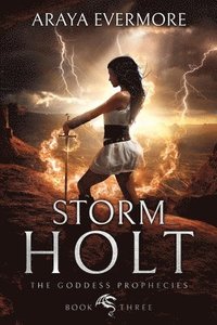 bokomslag Storm Holt