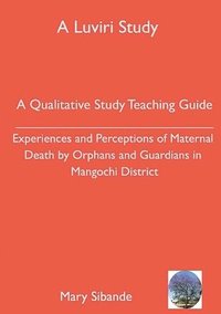 bokomslag Qualitative Study Teaching Guide