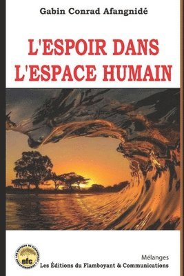 bokomslag L'Espoir dans l'Espace humain