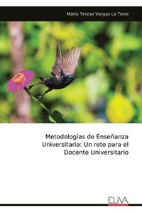 bokomslag Metodologas de Enseanza Universitaria