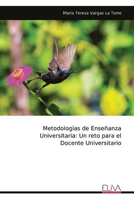 bokomslag Metodologías de Enseñanza Universitaria