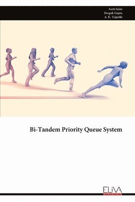 Bi-Tandem Priority Queue System 1