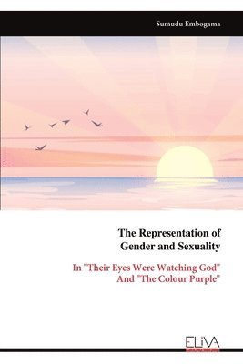 bokomslag Representation of Gender and Sexuality