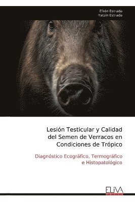 Lesión Testicular y Calidad del Semen de Verracos en Condiciones de Trópico 1