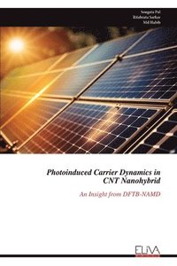 bokomslag Photoinduced Carrier Dynamics in CNT Nanohybrid: An Insight from DFTB-NAMD