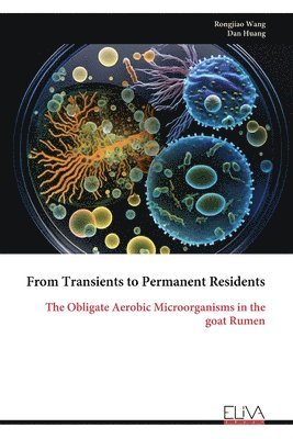 bokomslag From Transients to Permanent Residents