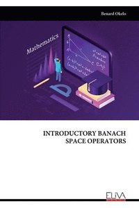 bokomslag Introductory Banach Space Operators