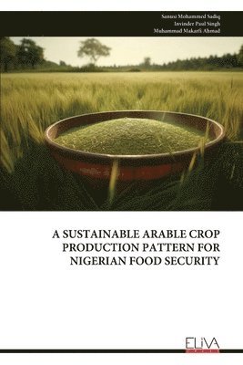 bokomslag A Sustainable Arable Crop Production Pattern for Nigerian Food Security