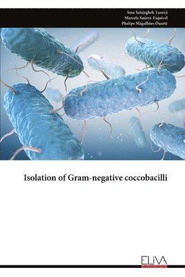 bokomslag Isolation of Gram-negative coccobacilli