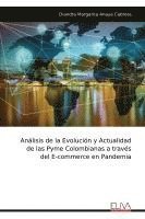 Análisis de la Evolución y Actualidad de las Pyme Colombianas a través del E-commerce en Pandemia 1