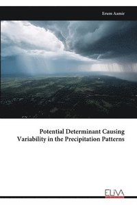 bokomslag Potential Determinant Causing Variability in the Precipitation Patterns