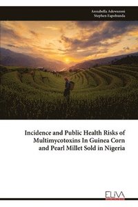 bokomslag Incidence and Public Health Risks of Multimycotoxins In Guinea Corn and Pearl Millet Sold in Nigeria