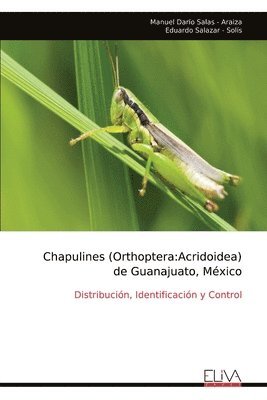 bokomslag Chapulines (Orthoptera