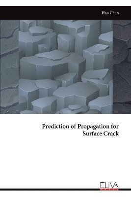 Hao Chen - Prediction of Propagation for Surface Crack, Häftad