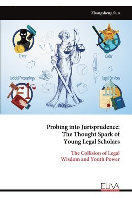 bokomslag Probing into Jurisprudence