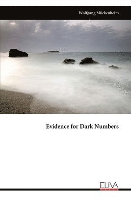 Wolfgang Mückenheim - Evidence for Dark Numbers, Häftad