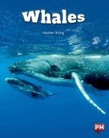Whales Level 24 X6, Häftad