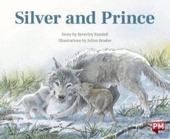 Silver & Prince X6, Häftad