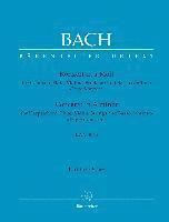 bokomslag Konzert für Cembalo, Flöte, Violine, Streicher und Basso continuo a-Moll BWV 1044 'Tripelkonzert'