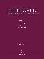 bokomslag Ouvertüre 'Egmont' für Orchester op. 84