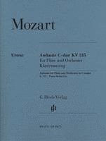 bokomslag Andante für Flöte und Orchester C-dur KV 315