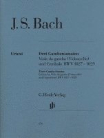 bokomslag Drei Gambensonaten. Viola da gamba (Violoncello) und Cembalo BWV 1027-1029