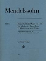 bokomslag Konzertstücke op. 113 und 114 für Klarinette, Basetthorn (2 Klarinetten) und Klavier
