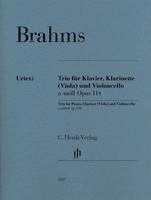 Trio für Klavier, Klarinette (Viola) und Violoncello a-moll op. 114 1