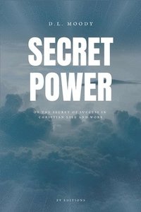 bokomslag Secret Power