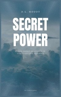 bokomslag Secret Power
