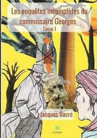 bokomslag Les enquêtes incomplètes du commissaire Georges