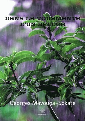 Dans la tourmente d'un deluge 1