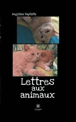Lettres aux animaux 1