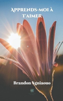 Apprends Moi A T Aimer Brandon Ngniaouo Bok Akademibokhandeln