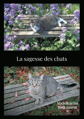 bokomslag La sagesse des chats