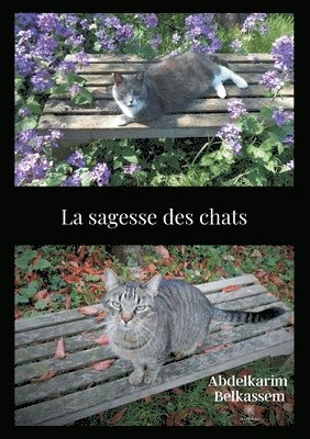 bokomslag sagesse des chats