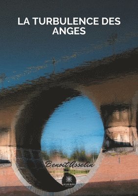 bokomslag turbulence des anges