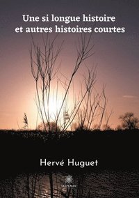 bokomslag Une si longue histoire et autres histoires courtes