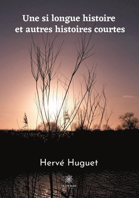 Une si longue histoire et autres histoires courtes 1